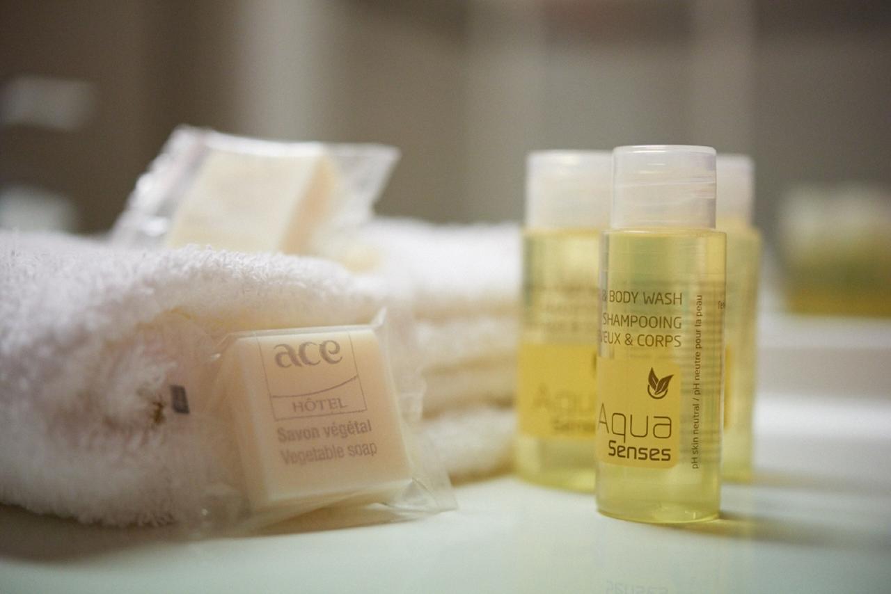 Hotel Ace Troyes